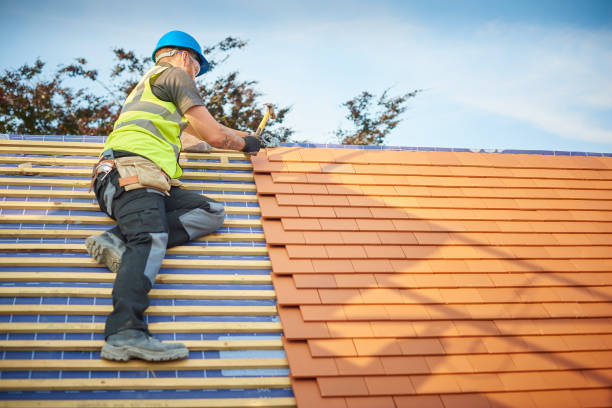 Best Roof Leak Repair  in Charleston, IL
